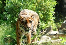 Crazy barn Life At Cincinaty Ranch